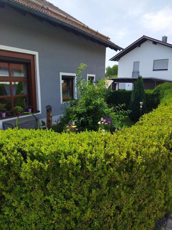 Aussergewoehnliche Atelierferienwohnung Mit Balkon An Der Donau Winzer Exterior foto