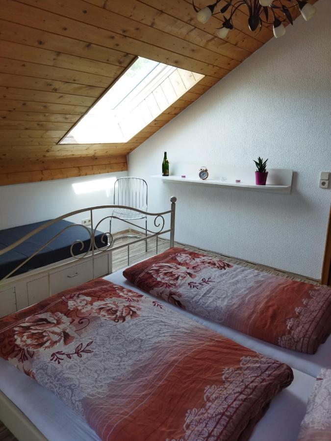 Aussergewoehnliche Atelierferienwohnung Mit Balkon An Der Donau Winzer Exterior foto