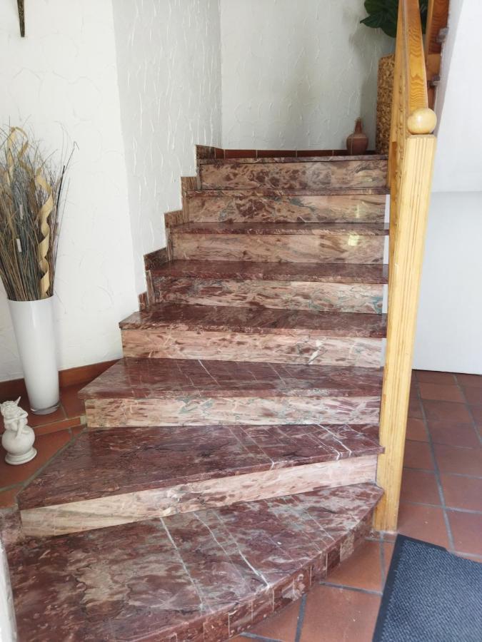 Aussergewoehnliche Atelierferienwohnung Mit Balkon An Der Donau Winzer Exterior foto