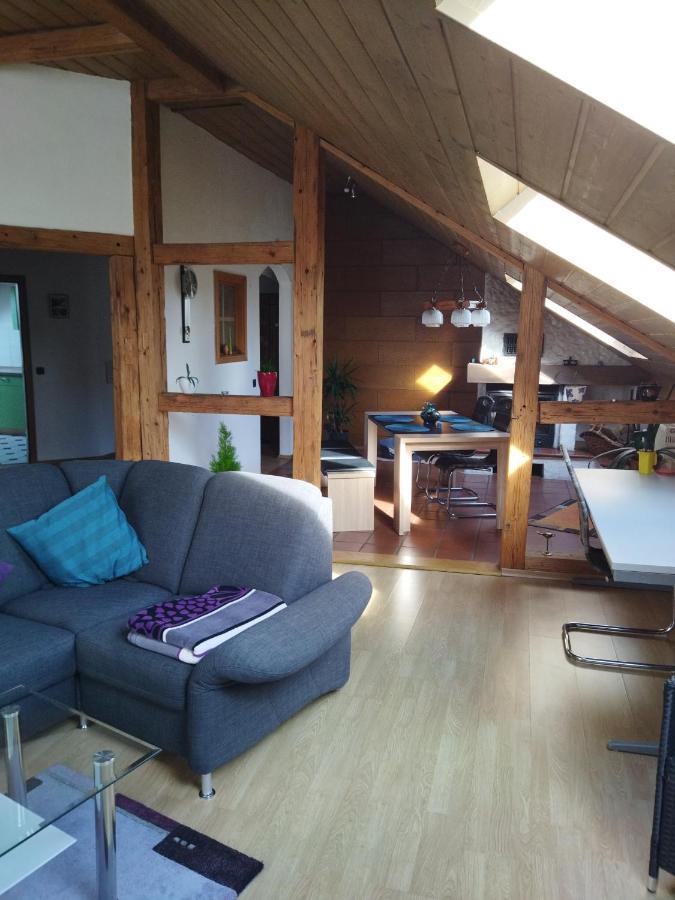 Aussergewoehnliche Atelierferienwohnung Mit Balkon An Der Donau Winzer Exterior foto