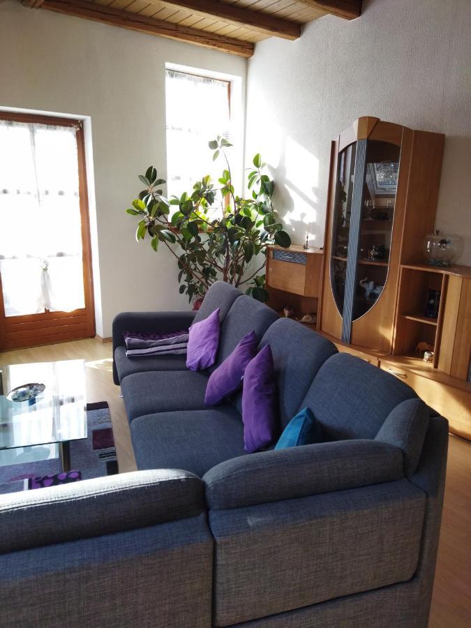 Aussergewoehnliche Atelierferienwohnung Mit Balkon An Der Donau Winzer Exterior foto