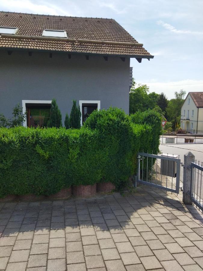 Aussergewoehnliche Atelierferienwohnung Mit Balkon An Der Donau Winzer Exterior foto
