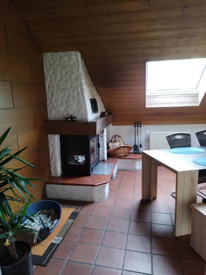 Aussergewoehnliche Atelierferienwohnung Mit Balkon An Der Donau Winzer Exterior foto