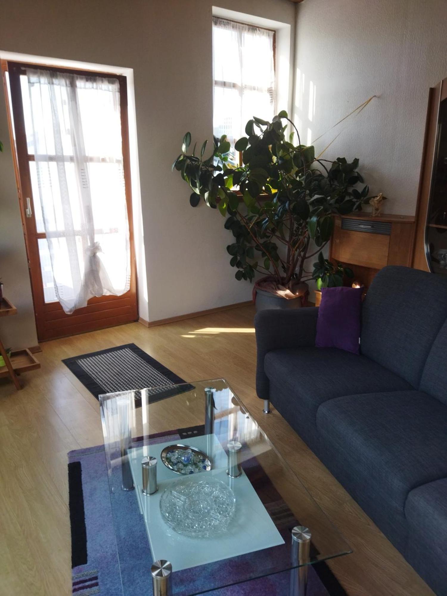 Aussergewoehnliche Atelierferienwohnung Mit Balkon An Der Donau Winzer Exterior foto